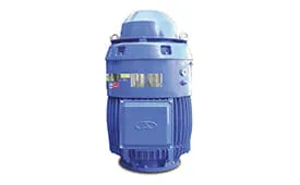 imgi_11_0017_VHS-MOTOR-