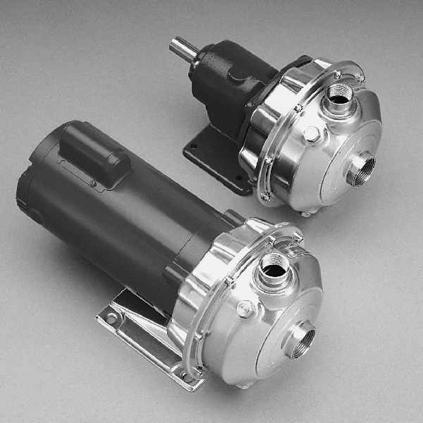 NPE End Suction Centrifugal Pumps GOULDS